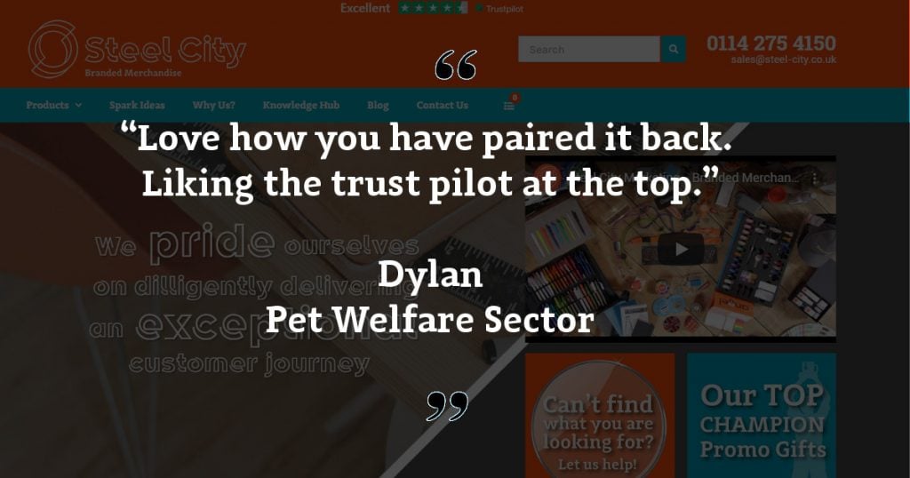 Website Feedback Dylan