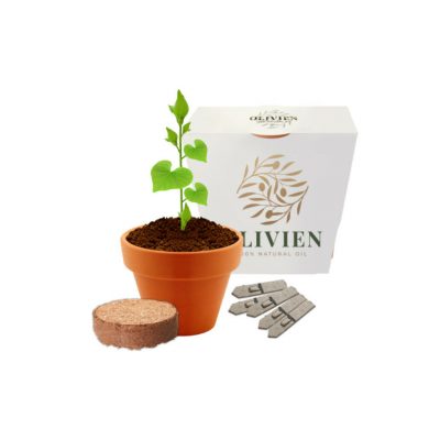 Promotional Single Pot Clay Wrap