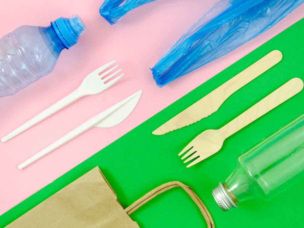 Plastic Utensil Set, Includes Spoon & Fork, Only Fit Bento Box Shown From  The Imagine, Come With Packing Box-Green