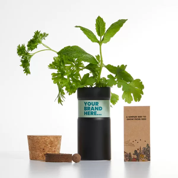 Promotional Desktop Garden Black