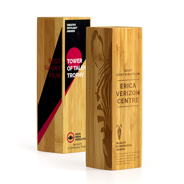 Solid Moso Bamboo Column Award – Engraved