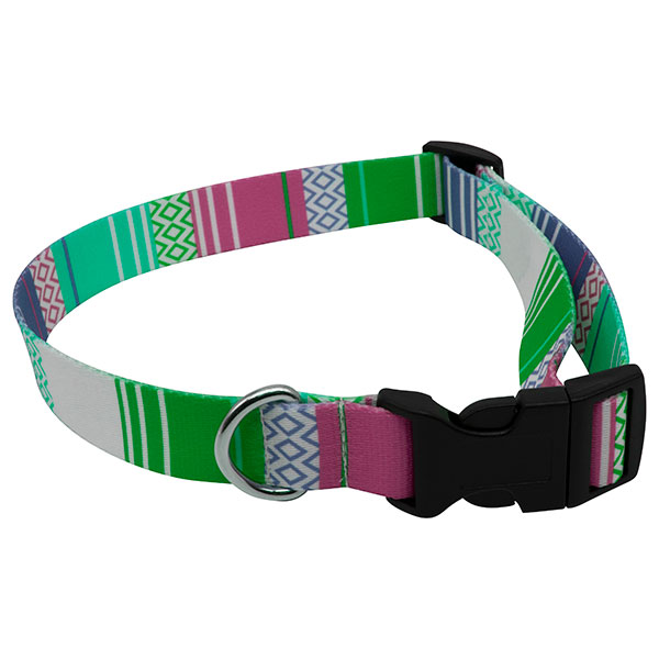 rPET Dog Collar – Full Colour