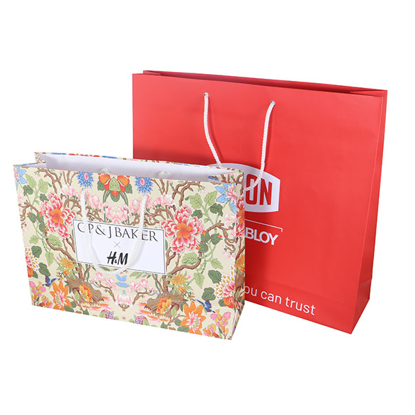 Landscape Laminated Paper Carrier Bag – Small
