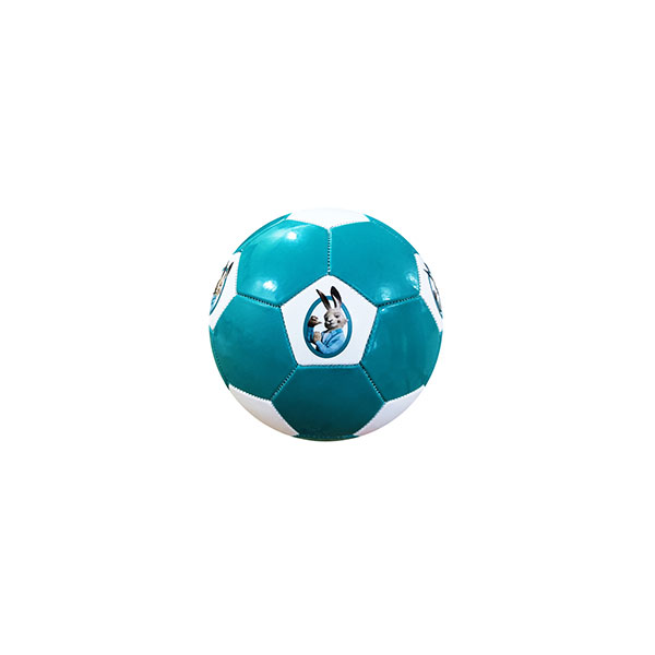 Promotional Football