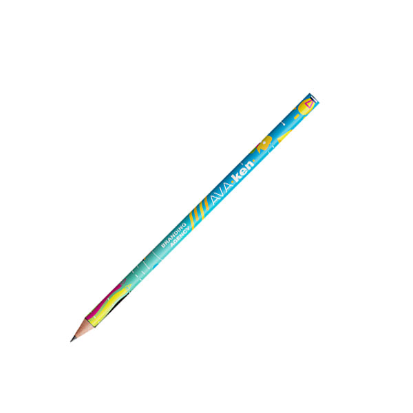 BIC Evolution Ecolutions Pencil – Full Colour