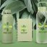 Top Sustainable Corporate Gifts