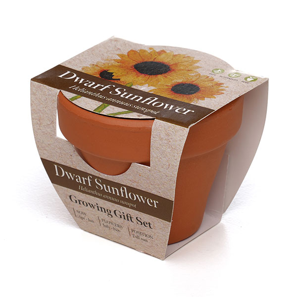 Terracotta Flower Pot with Branded Sleeve