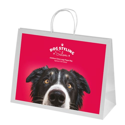 Ashdown White XL Paper Gift Bag – Full Colour
