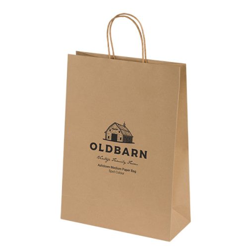 Ashdown Medium Kraft Paper Gift Bag – 1 Colour