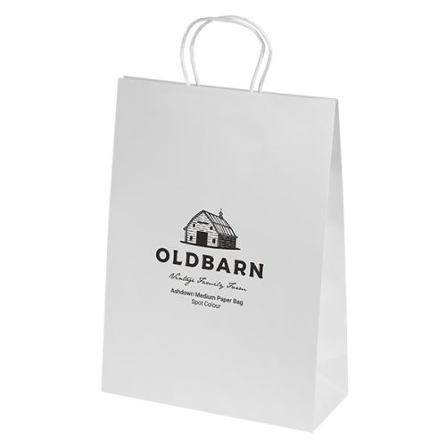 Ashdown Medium White Paper Gift Bag – 1 Colour