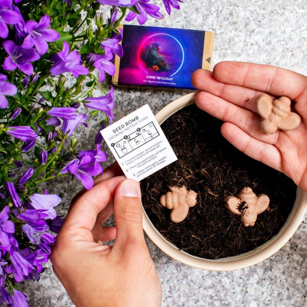 Bee-Shaped Seed Bombs