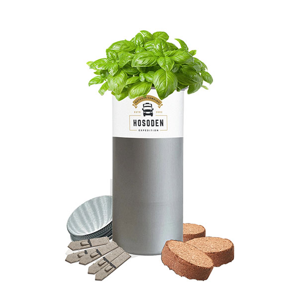 Desktop Tube Garden