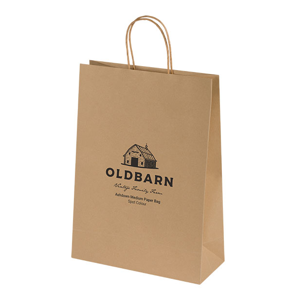 Ashdown Medium Kraft Paper Gift Bag - 1 Colour