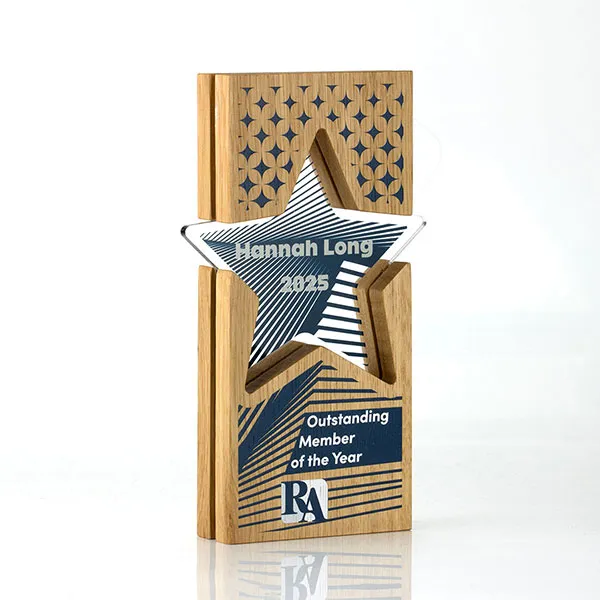Acrylic Inset Star Award