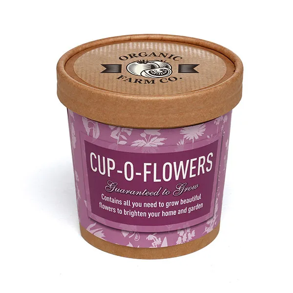 Paper Cup Grow Kit