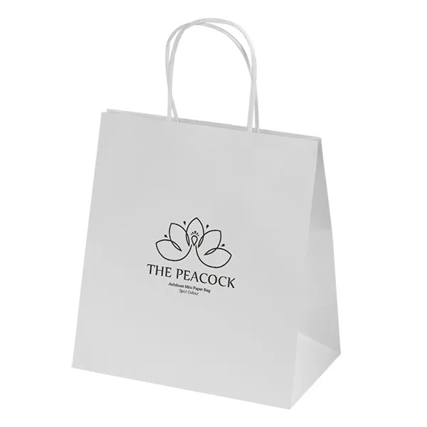 Ashdown Mini White Kraft Paper Gift Bag - Spot Colour